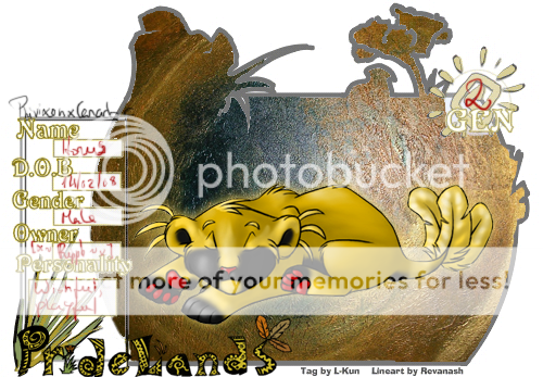 User Image
